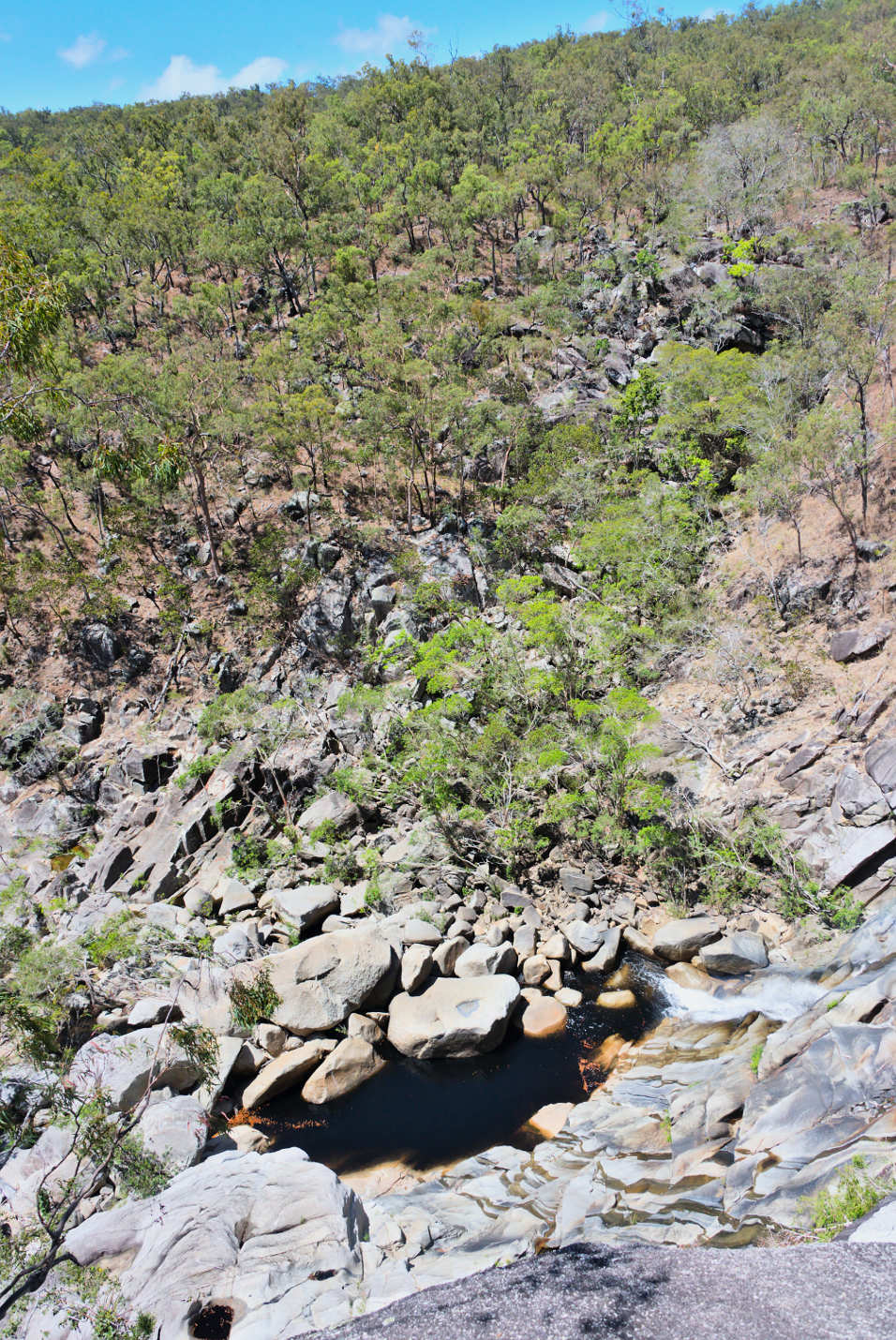 Landscape at Davies creek