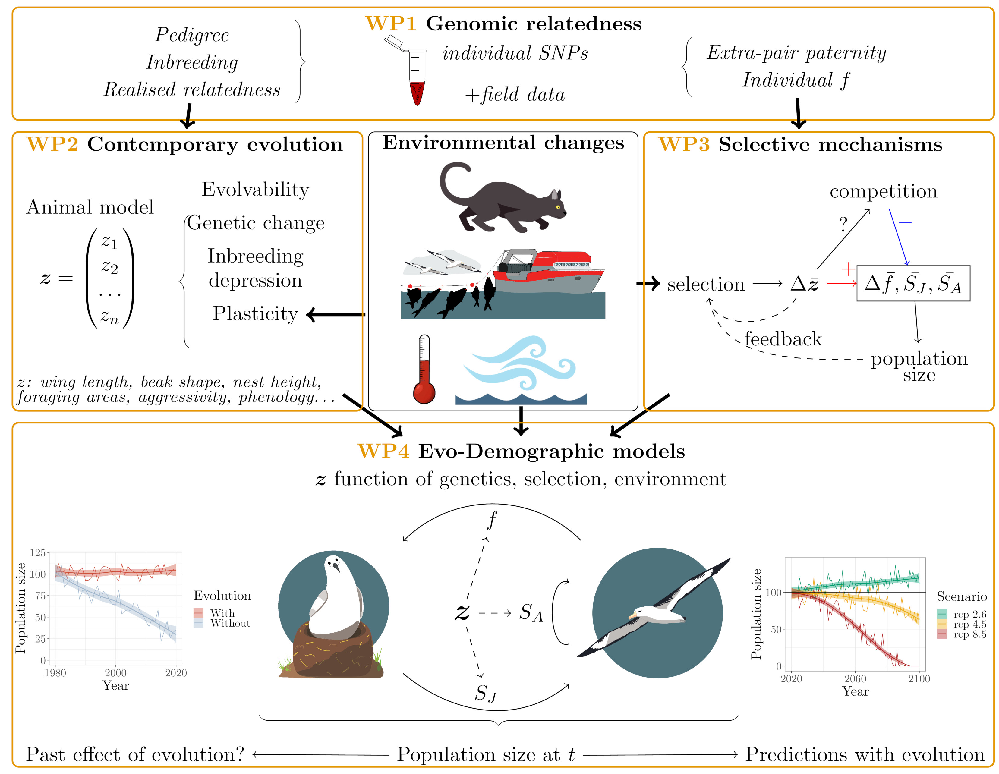 Graphical summary of the DWELLS project